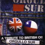 449_orgullo sur - tribute to british oi.jpg
